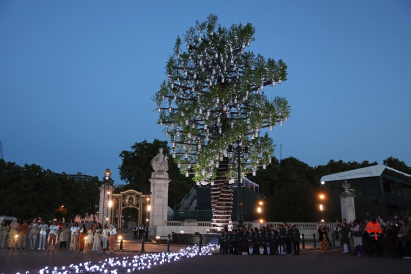The 'Tree of Trees' outside Buckingham Palace for the Jubilee celebrations